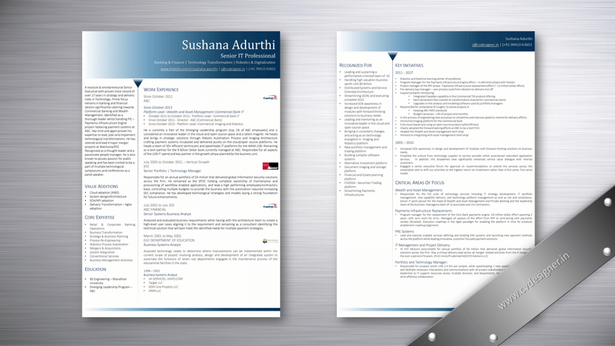 Senior IT Professional Text Resume Samples